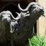 The Sibaya Casino & Entertainment Kingdom - family fun