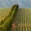 Helderberg Wine Route, Western Cape