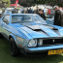 The Vintage Car Show 2013