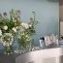 The Wellness Emporium Launch