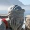 Hermanus FynArts – Sculptures On The Cliffs
