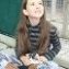 Hermanus Animal Welfare – Tea With Cats